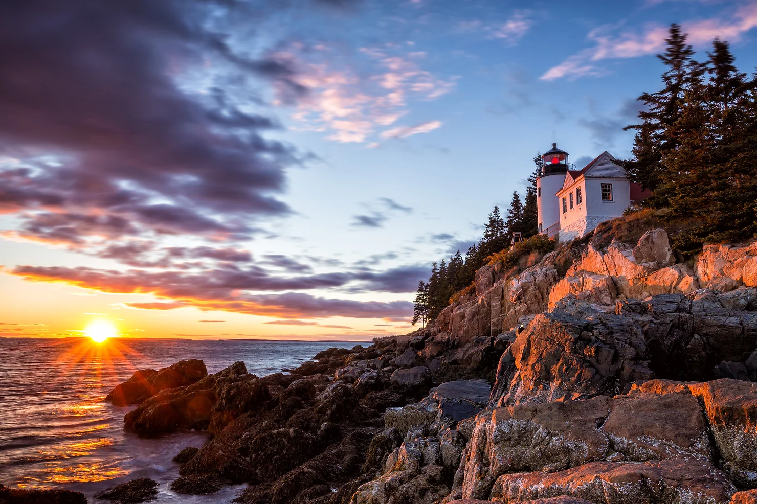 acadia.webp